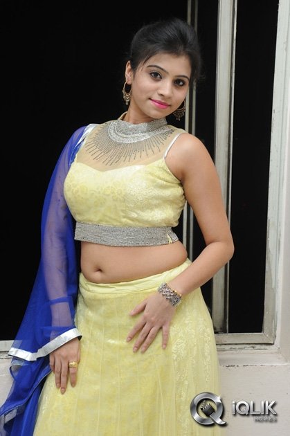 Priyanka-at-Adhee-Lekka-Movie-Platinum-Disc-Function